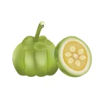 taking garcinia cambogia on keto diet