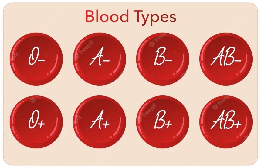 Unlock The Potential Of Your Health With The Blood Type B Negative Diet ...